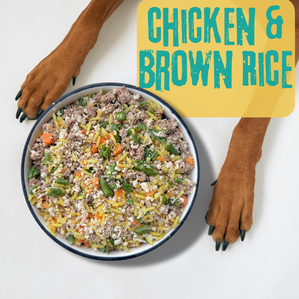 Chicken and Brown Rice